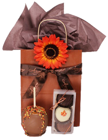 Amy's Harvest Gift Bag